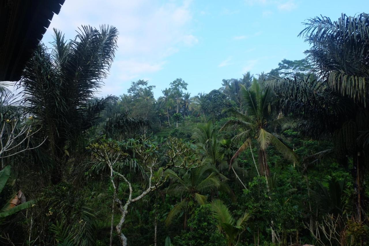 Gunung Kawi House Villa Tegallalang  Dış mekan fotoğraf
