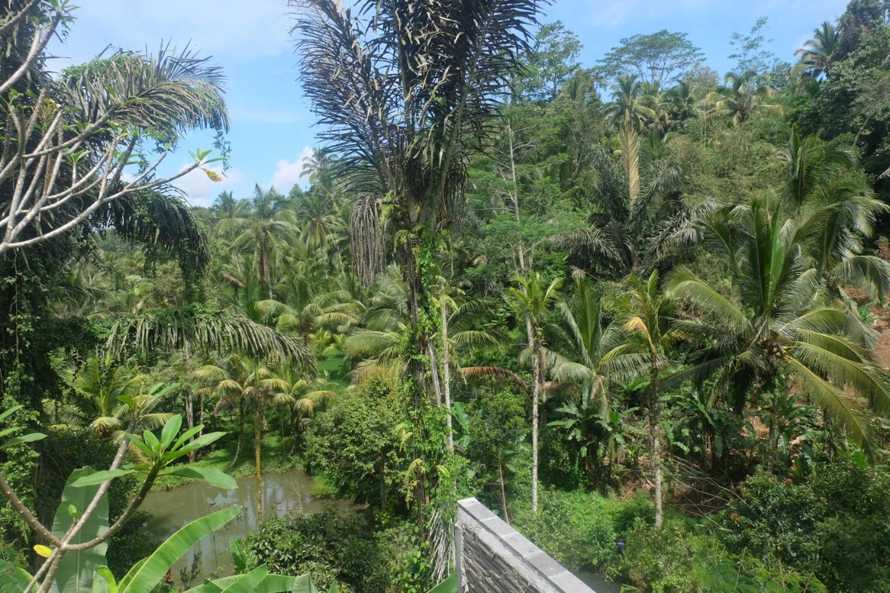 Gunung Kawi House Villa Tegallalang  Dış mekan fotoğraf