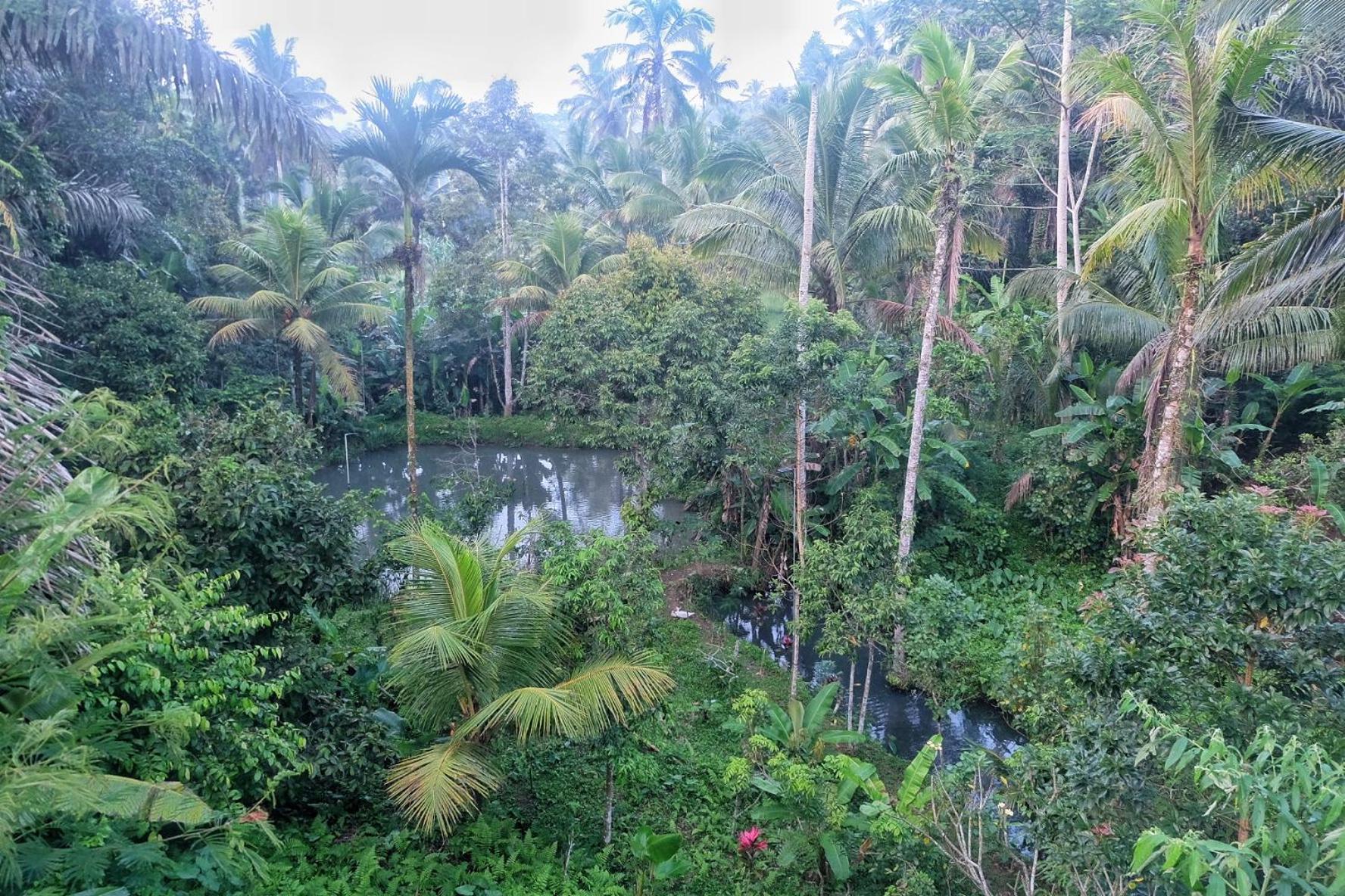 Gunung Kawi House Villa Tegallalang  Dış mekan fotoğraf